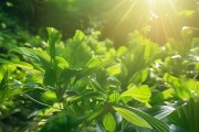 绿色商贸，从无到有，开启绿色未来的新篇章
